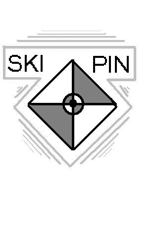 Ski Pin